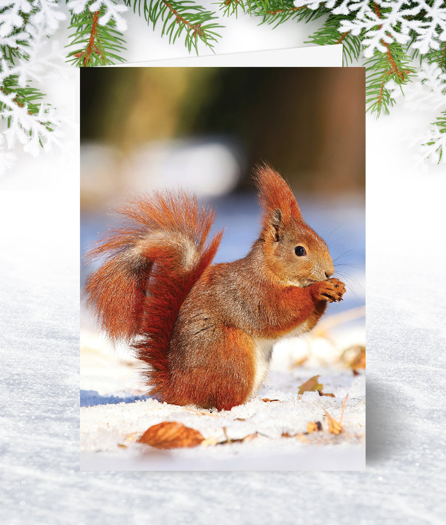 Animal Personalised Christmas Cards