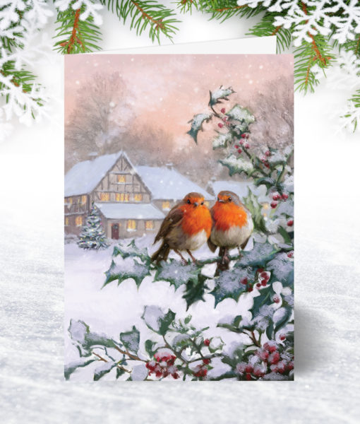 Christmas Robins Christmas Card