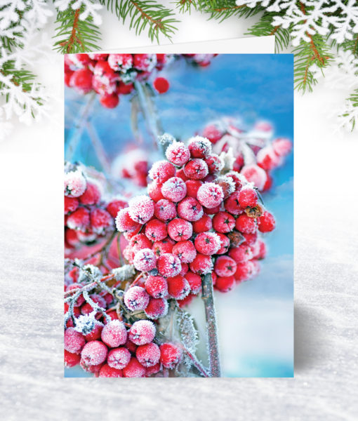 Frosty Berries Christmas Card