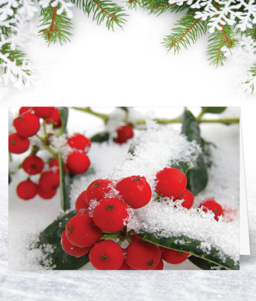 Holly Berries Christmas Card
