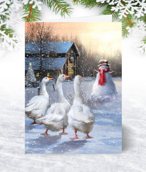 Three Geese Personalised Christmas Card