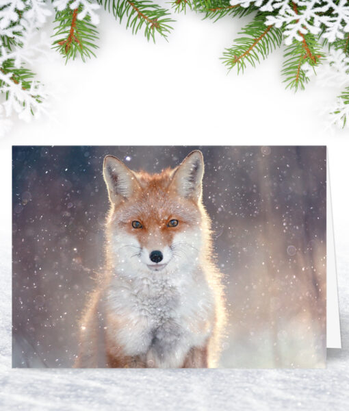 Red Fox Christmas Card