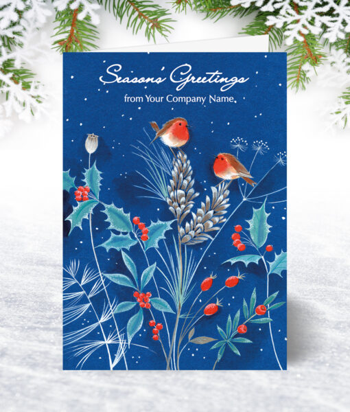 Robins on Blue Christmas Card